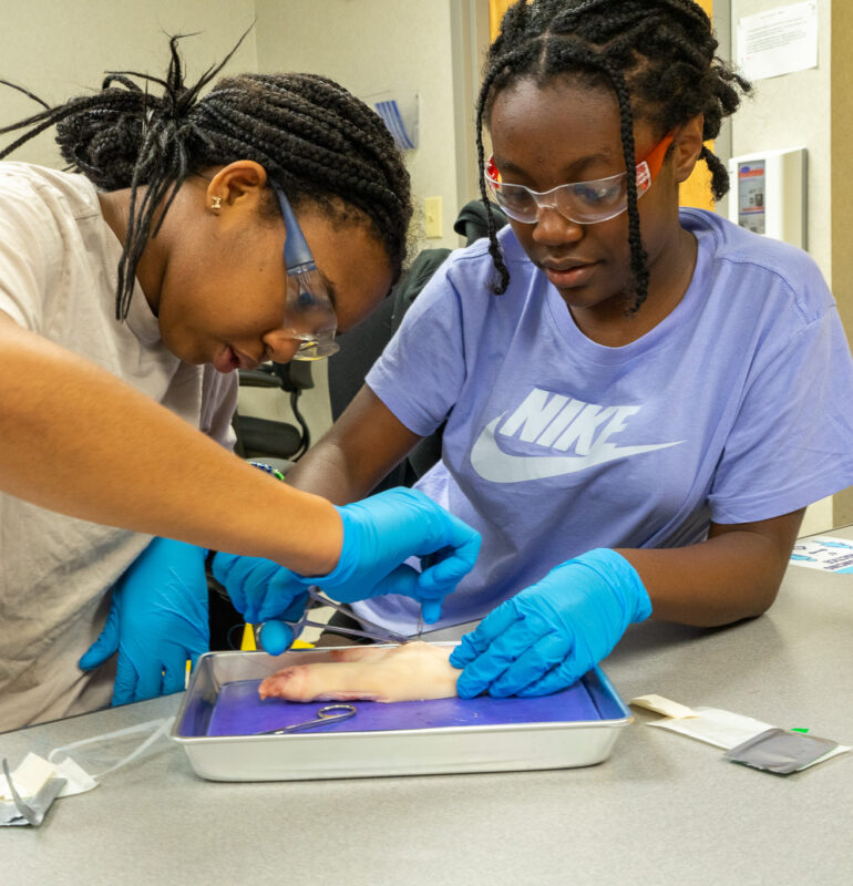 Girls in STEM